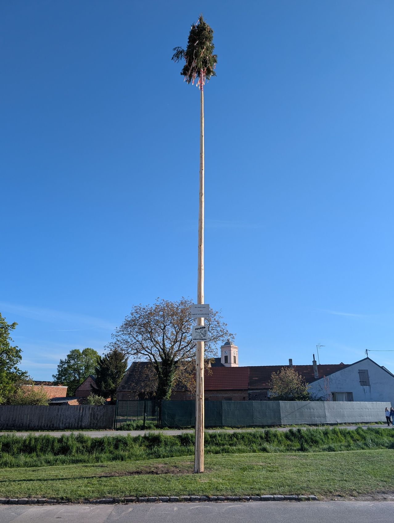Ein hoher Pfahl mit Grünpflanzen an der Spitze steht in einem offenen Bereich. Dahinter befinden sich Häuser, Bäume und ein Zaun. Der Himmel ist strahlend blau.