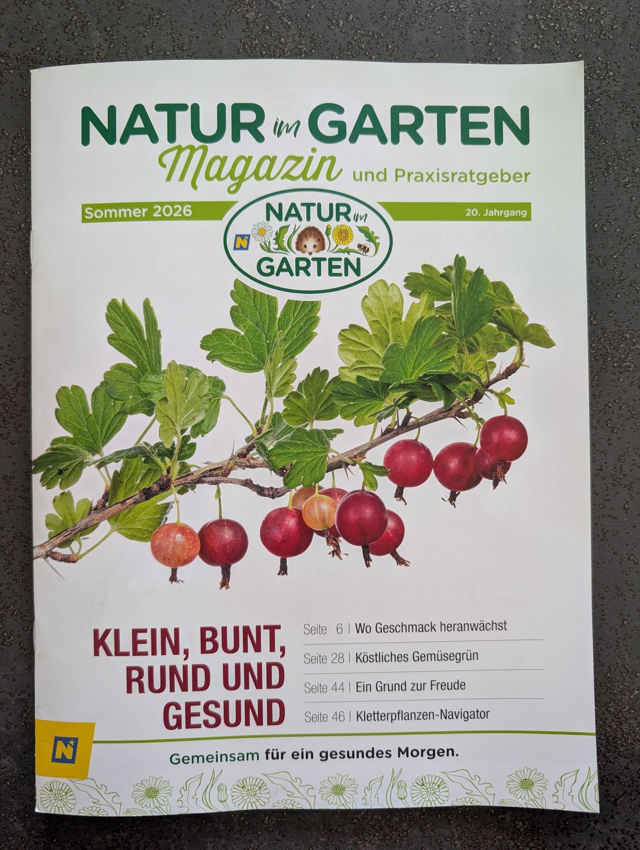 Das Cover des 'Natur im Garten' Magazins für den Sommer 2026 zeigt rote Beeren an einem Zweig mit grünen Blättern. Das Magazin feiert sein 20-jähriges Jubiläum.
