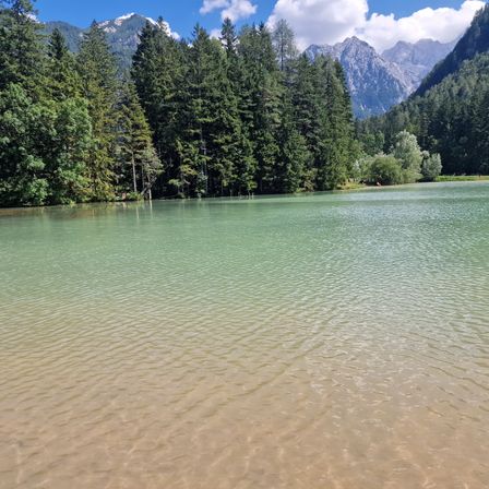 Bild enthält, Plant, Tree, Fir, Lake, Nature, Outdoors, Water, Scenery, Vegetation