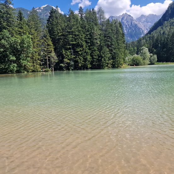 Bild enthält, Plant, Tree, Fir, Lake, Nature, Outdoors, Water, Scenery, Vegetation