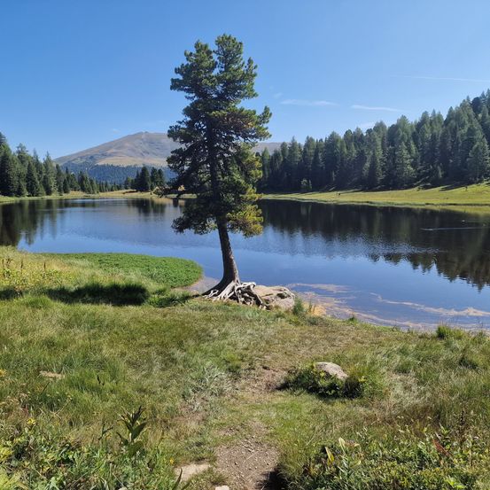 Bild enthält, Fir, Tree, Nature, Outdoors, Scenery, Lake, Water, Conifer, Wilderness, Pond