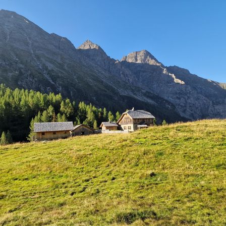 Bild enthält, Building, Countryside, Hut, Nature, Outdoors, Rural, Fir, Tree, Shelter, Grassland