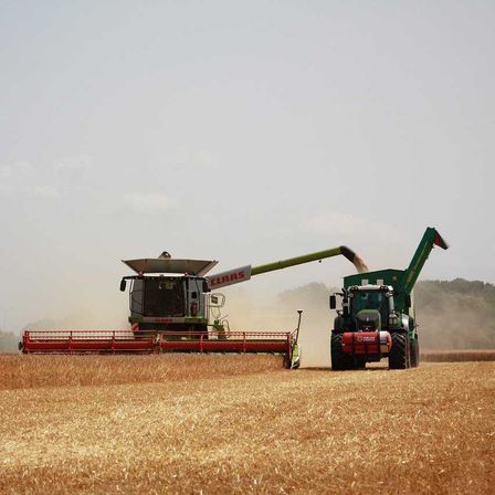 harvest-8192037_1280