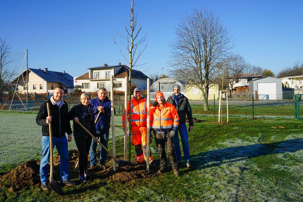 Eine Gruppe von Menschen steht in einem Grasbereich und pflanzt einen Baum. Zwei Männer tragen orange Westen und Mützen. Hinter ihnen sind Häuser und ein Gebäude zu sehen.