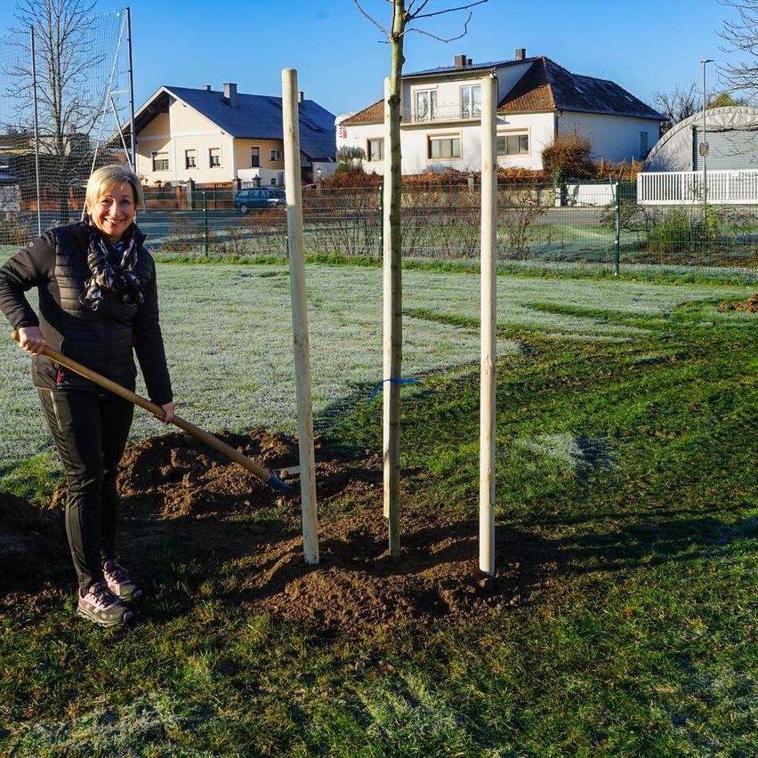 Eine Frau in einer schwarzen Jacke und Hose steht auf einem Rasen und pflanzt einen Baum mit einer Schaufel. Hinter ihr befinden sich Häuser und ein grüner Zaun.