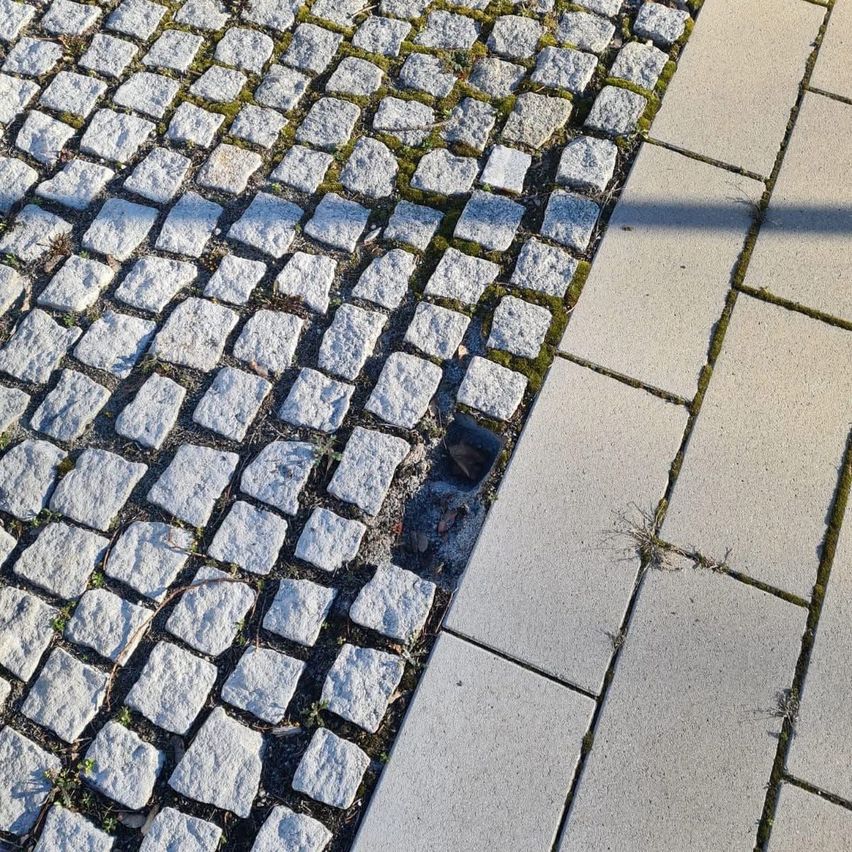 Eine Nahaufnahme eines Kopfsteinpfades mit Moos an den Rändern und einem kleinen Riss im Beton-Seitenstreifen.