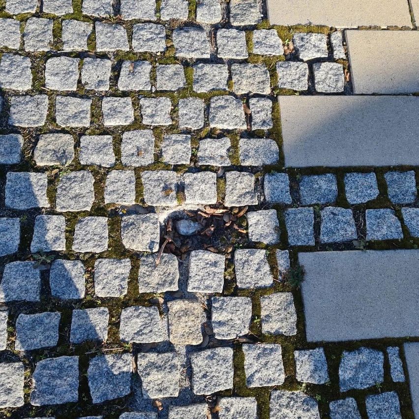 Eine Nahaufnahme einer Kopfsteinpflasterstraße mit einigen fehlenden Steinen und Moosflecken dazwischen. Die Steine haben verschiedene Größen und Formen.