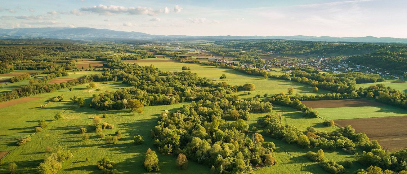 Bild enthält, Outdoors, Vegetation, Nature, Land, Tree, Woodland, Grass, Countryside, Landscape, Green