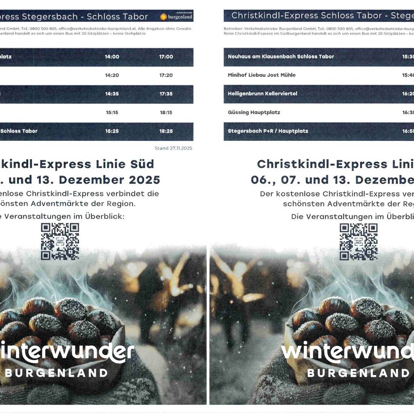 Poster des Christkindl-Express Südlinie, Daten und Zeiten auf dem Plakat, QR-Code und ein Foto von Kastanien.
