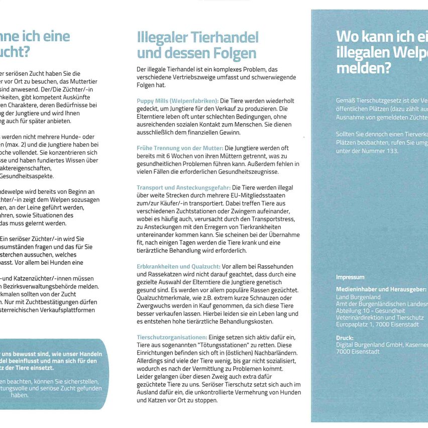Das Dokument behandelt den illegalen Tierhandel und dessen Folgen. Es umfasst Themen wie Welpenfabriken, Transportrisiken, Krankheiten und die Rolle von Tierschutzorganisationen. Es bietet Informationen zum Erkennen von Misshandlungszeichen und zu Meldemöglichkeiten solcher Fälle.