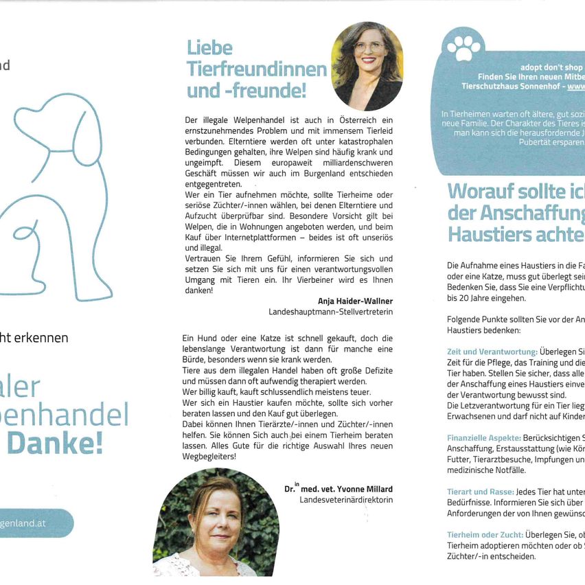 Liebe Tierfreundinnen und -freunde! Der illegale Welpenhandel ist auch in Österreich ein ernstzunehmendes Problem und mit immensem Tierleid verbunden. Vertrauen Sie Ihrem Gefühl, informieren Sie Ihren Tierarzt und setzen Sie sich mit uns für unsere verantwortungsvollen Umgang mit Tieren ein.