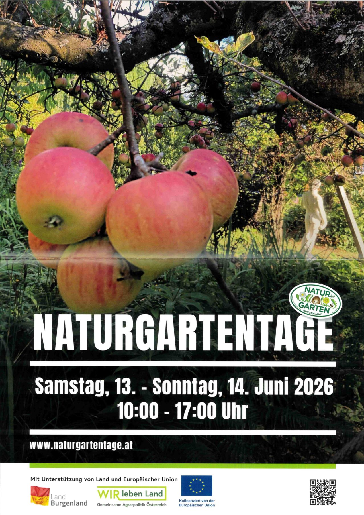 Äpfel hängen an einem Baum. Eventtext: Naturgartentage. Termine: Sa, 13. - So, 14. Juni 2026. Zeit: 10:00 - 17:00 Uhr.