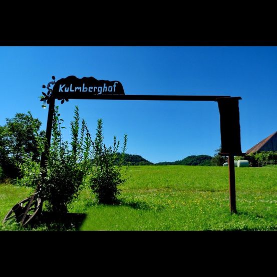 Bild enthält, Grass, Nature, Outdoors, Scenery, Summer, Field, Grassland, Lawn, Person, Tree