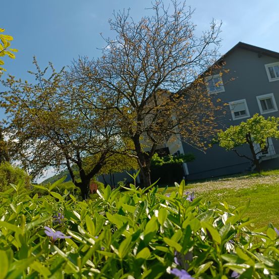 Bild enthält, Grass, Tree, Tree Trunk, Lawn, Building, Nature, Outdoors, Grassland, Garden, Summer