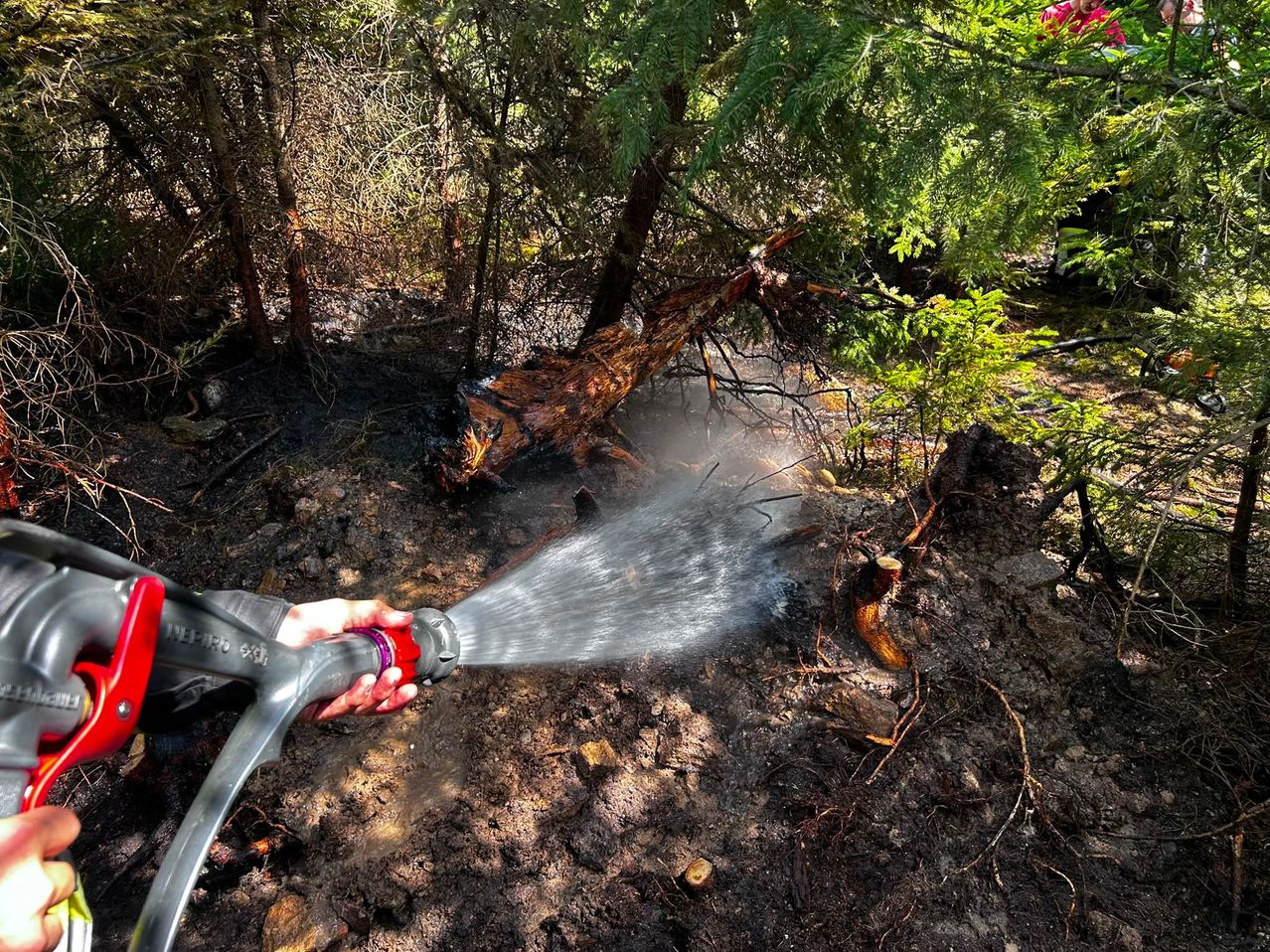 Ein Feuerwehrmann sprüht mit einem Schlauch Wasser auf einen glimmenden Waldboden, mit verkohlten Bäumen und Pflanzen im Hintergrund.