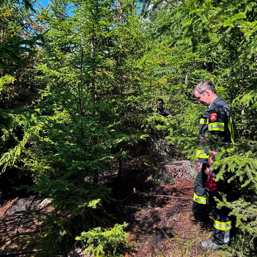 Ein Feuerwehrmann in gelber und schwarzer Uniform steht in einem Wald und betrachtet einen Baumstumpf. Eine weitere Person steht hinter ihm.
