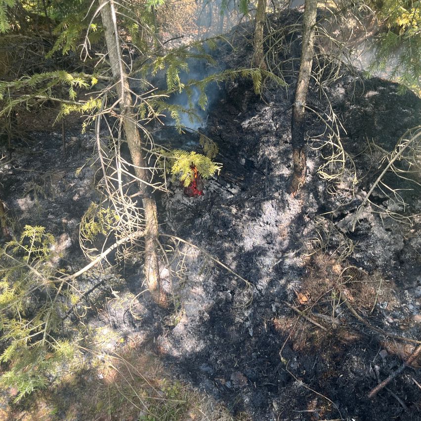 Eine Luftaufnahme eines Waldes mit einem kleinen Feuer auf dem Boden, umgeben von Bäumen und Rauch.