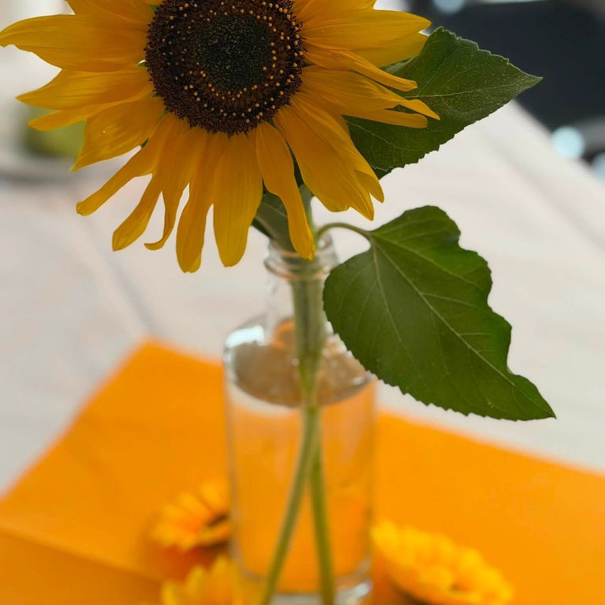 Eine Sonnenblume mit leuchtend gelben Blütenblättern und einem braunen Zentrum steht in einer klaren Glasvase auf einer orangefarbenen Tischdecke.