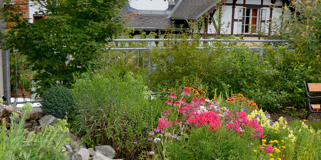 v1_migrated_image_86167651