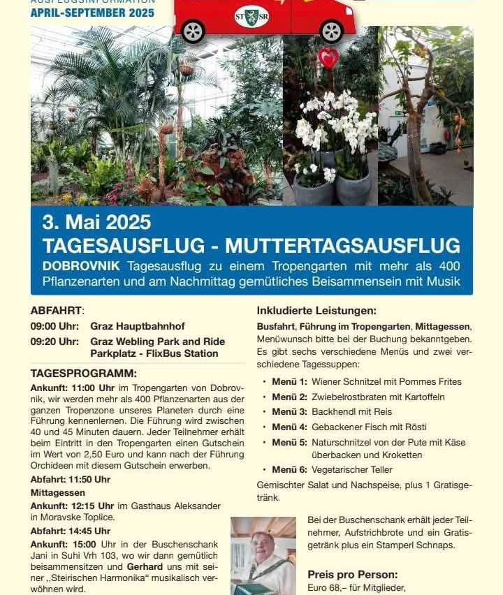 Bild enthält, Advertisement, Poster, Person, Car, Vehicle, Wheel, Face, Vegetation, Potted Plant, Tree