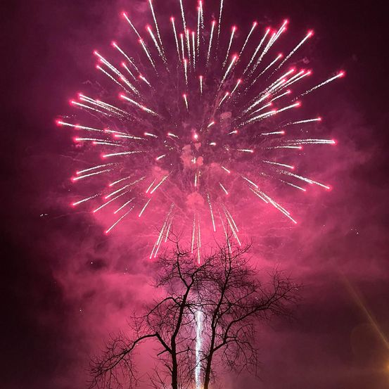 Ein lebhaftes Feuerwerk explodiert in der Nacht, mit einem Baum im Vordergrund, der sich gegen die rosa und weißen Explosionen abhebt.