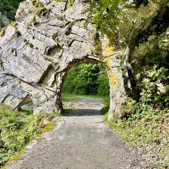 Ein Steinbogen führt zu einem Kiesweg mit üppigem Grün, Moos und einem Schild auf der rechten Seite, umgeben von einer grasbewachsenen Fläche.