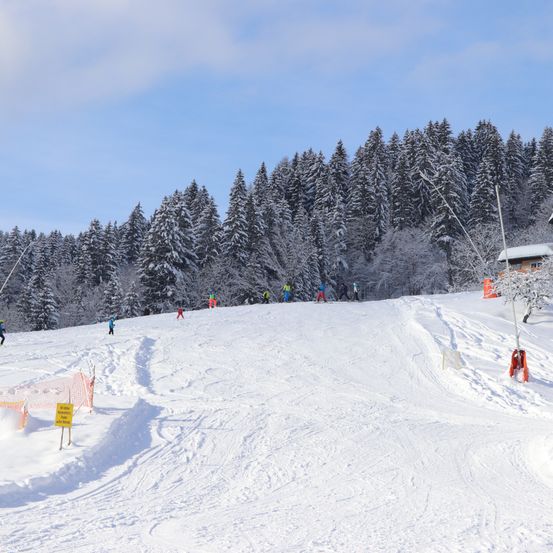 Eine Skipiste mit mehreren Skifahrern unter blauem Himmel, umgeben von schneebedeckten Kiefern. Ein kleines Holzhaus ist rechts sichtbar.