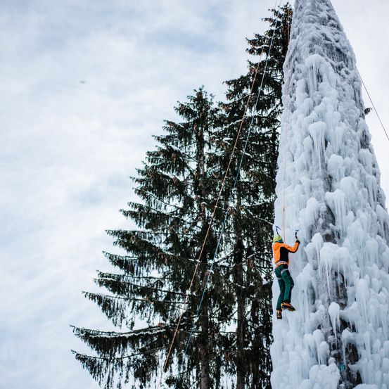 Eine Person klettert auf einen vereisten Baumstamm, trägt einen Helm und ein Gurtzeug. Ein Kiefernbaum steht hinter ihm unter einem bewölkten Himmel.