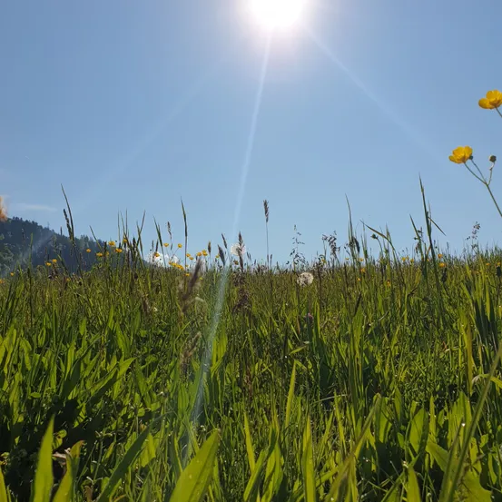 Natur pur