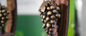 SteirischeWeintrophy2025-(c)SOFLY-012