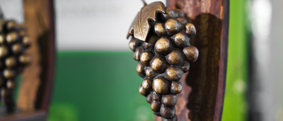 SteirischeWeintrophy2025-(c)SOFLY-012