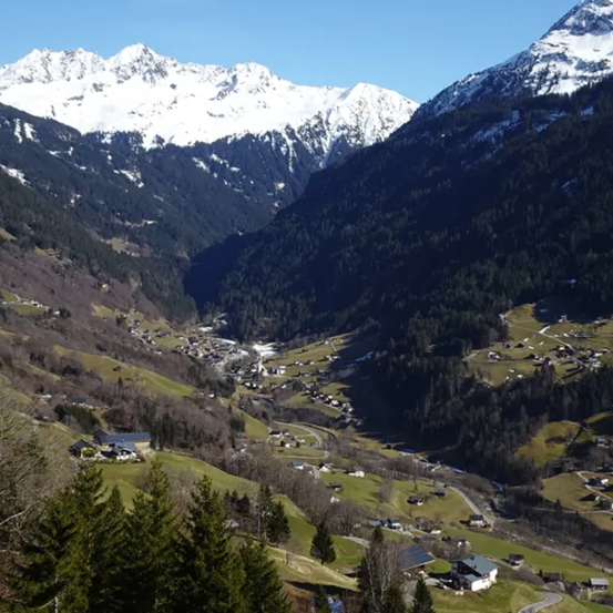 Bild enthält, Outdoors, Nature, Plant, Tree, Vegetation, Woodland, Aerial View, Road, Snow, Water