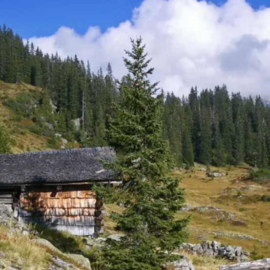 Bild enthält, Building, Housing, Outdoors, House, Nature, Fir, Tree, Countryside, Hut, Shelter