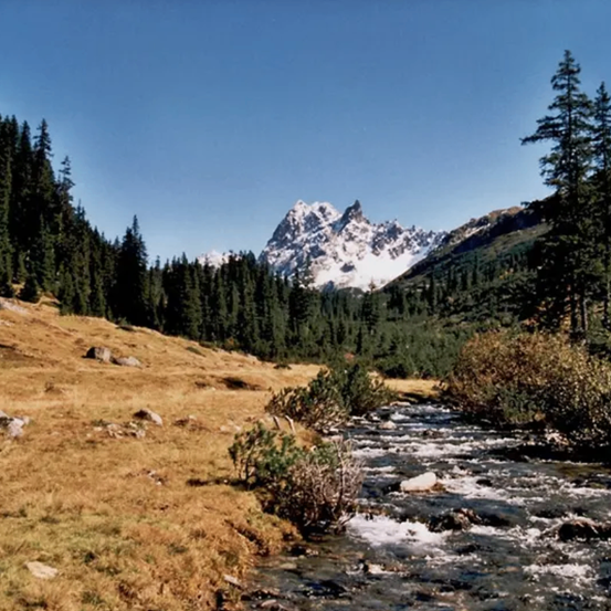 Bild enthält, Nature, Outdoors, Wilderness, Tree, Fir, Scenery, Vegetation, Stream, Water, Landscape