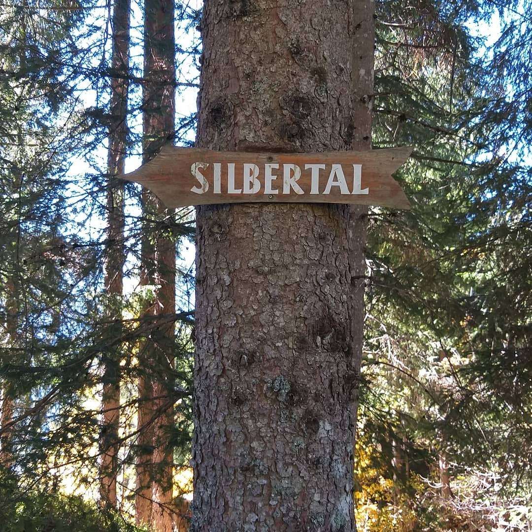 Ein Holzschild mit weißer Schrift, das 'SILBERTAL' besagt, ist an einem Baumstamm in einem Wald befestigt. Hohe Bäume umgeben den Baum.