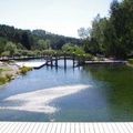Nature, Outdoors, Pond, Water, Scenery, Lake, Pool, Swimming Pool, Grass, Plant