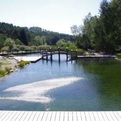 Bild enthält, Nature, Outdoors, Pond, Water, Scenery, Lake, Pool, Swimming Pool, Grass, Plant