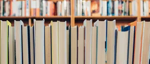 Furniture, Book, Publication, Bookcase, Indoors, Library