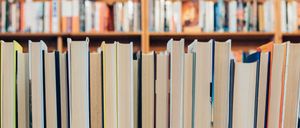 Bild enthält, Furniture, Book, Publication, Bookcase, Indoors, Library