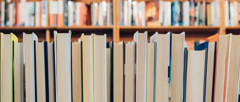 Furniture, Book, Publication, Bookcase, Indoors, Library
