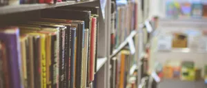 Book, Indoors, Library, Publication, Furniture, Bookcase, Shelf