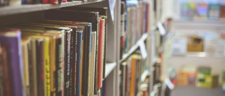 Book, Indoors, Library, Publication, Furniture, Bookcase, Shelf