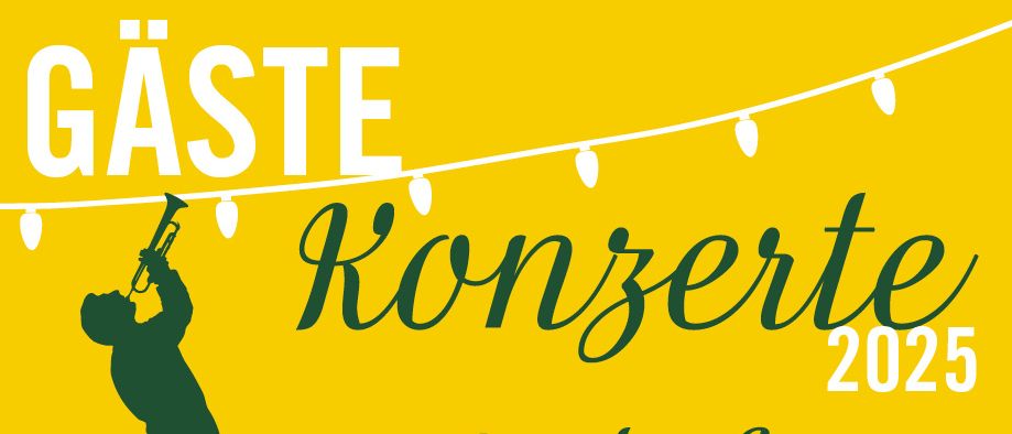 Plakat für Musikkonzerte in Seehof Freistadt Rust im Juli und August 2025. Eine Musikersilhouette spielt Trompete. Der Eintritt ist frei.