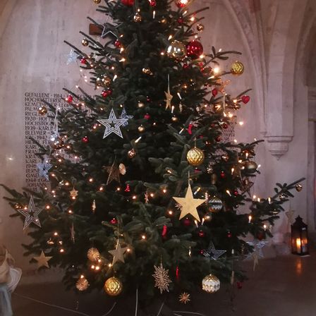 Bild enthält, Christmas, Christmas Decorations, Festival, Plant, Tree, Christmas Tree, Person, Fir