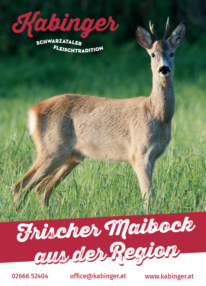 Ein Reh steht in einem Grasfeld mit rotem Hintergrund und Text. Es hat ein braunes Fell und einen weißen Schwanz. Die Worte 'Frischer Maibock aus der Region' sind in weißer Schrift.