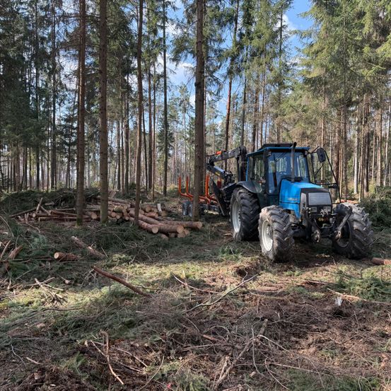 Ein blauer Traktor mit einer Holzlader-Anbauvorrichtung steht in einem Wald, umgeben von geschnittenen Baumstämmen und Bäumen. Der Himmel ist blau mit einigen Wolken.
