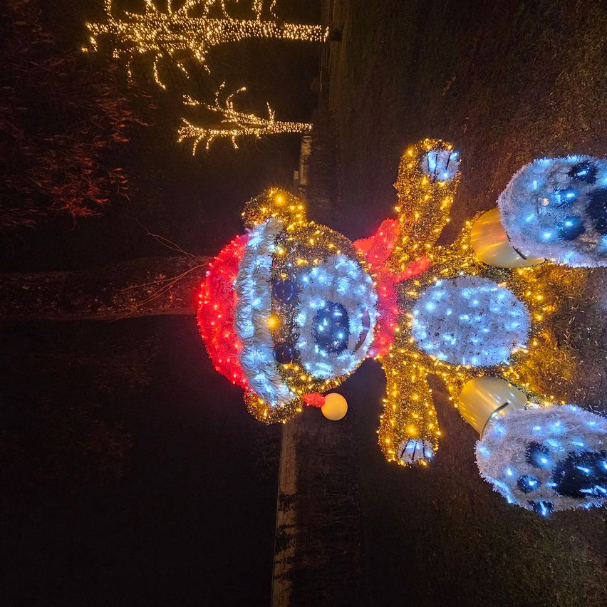 Ein großer, beleuchteter Teddybär sitzt nachts auf dem Boden. Er ist mit blauen und gelben Lichtern verziert, mit roten und blauen Akzenten.