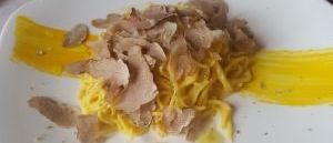 Ein weißer Teller enthält ein Gericht mit Pasta, gelber Sauce und mit gehobeltem Trüffel bestreut.