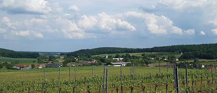 Eine ländliche Landschaft mit Weinberg und Häusern unter einem teilweise bewölkten Himmel. Grüne Hügel im Hintergrund.