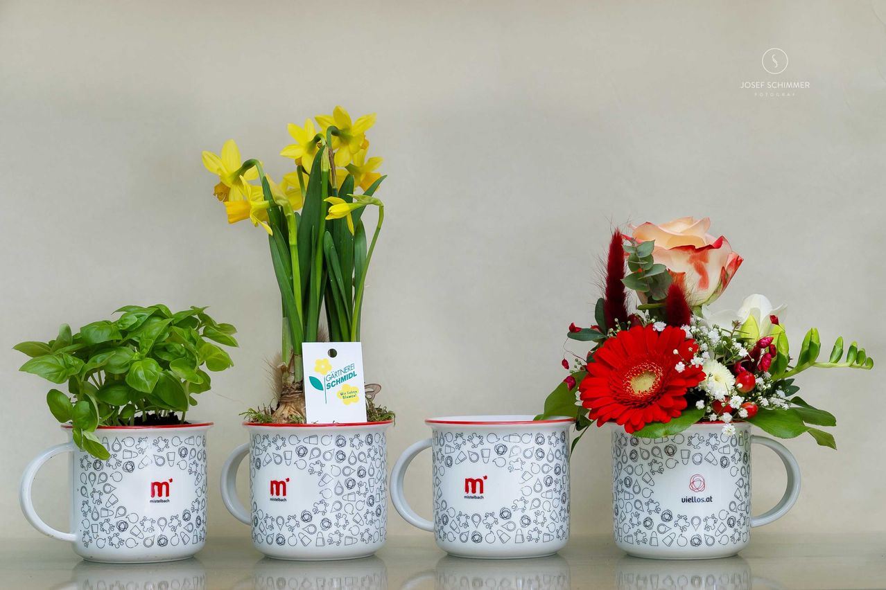 Bild enthält, Flower, Flower Arrangement, Plant, Flower Bouquet, Cup, Rose, Floral Design, Ikebana, Pottery, Potted Plant